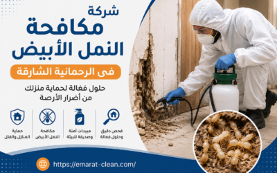 شركة مكافحة النمل الأبيض في الرحمانية الشارقة