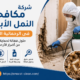 شركة مكافحة النمل الأبيض في الرحمانية الشارقة