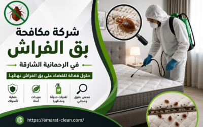 شركة مكافحة بق الفراش في الرحمانية الشارقة