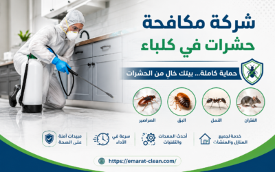 شركة مكافحة حشرات في كلباء