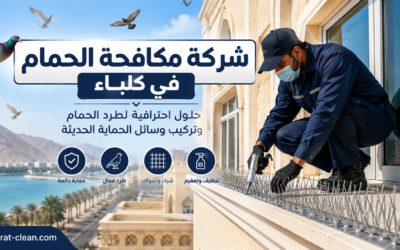 شركة مكافحة الحمام في كلباء